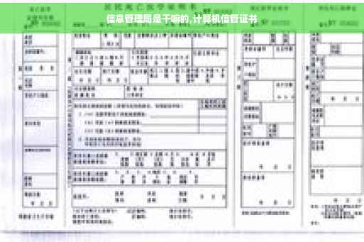 信息管理局是干嘛的,计算机信管证书