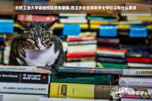 合肥工业大学宣城校区招生章程,合工大毕业拿到学士学位证有什么要求