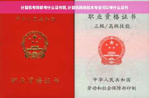 计算机考级都考什么证书啊,计算机网络技术专业可以考什么证书