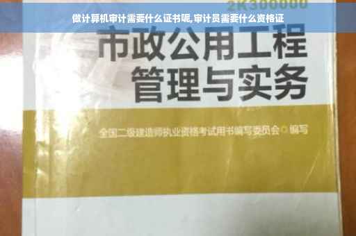 做计算机审计需要什么证书呢,审计员需要什么资格证