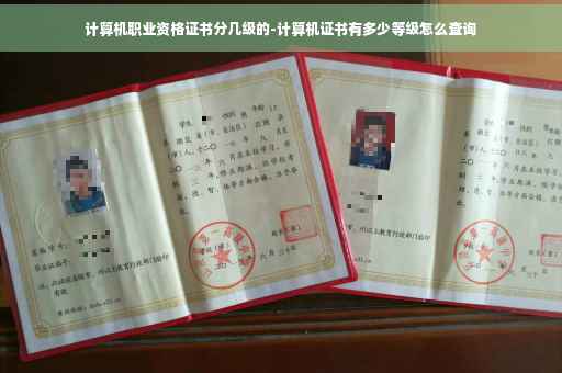 计算机职业资格证书分几级的-计算机证书有多少等级怎么查询