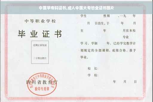 中医学专科证书,成人中医大专毕业证书图片