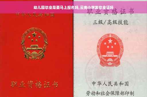幼儿园毕业是要马上报名吗,云南小学发毕业证吗