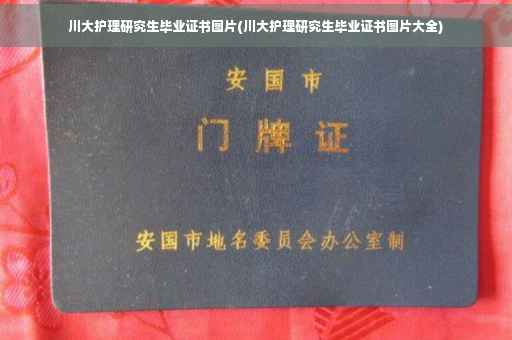 川大护理研究生毕业证书图片(川大护理研究生毕业证书图片大全)