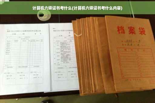 计算机六级证书考什么(计算机六级证书考什么内容)