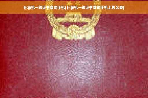 计算机一级证书查询手机(计算机一级证书查询手机上怎么查)