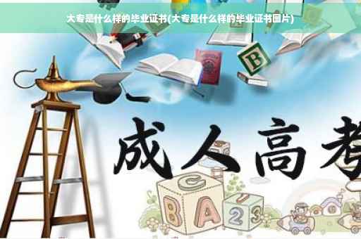 大专是什么样的毕业证书(大专是什么样的毕业证书图片)
