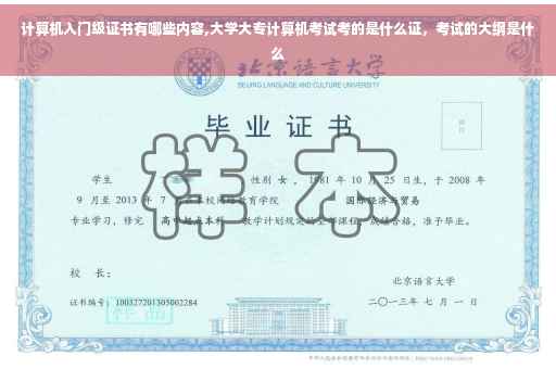 计算机入门级证书有哪些内容,大学大专计算机考试考的是什么证，考试的大纲是什么