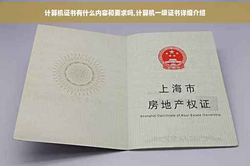 计算机证书有什么内容和要求吗,计算机一级证书详细介绍