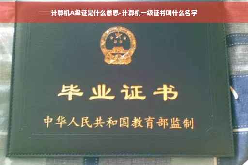 计算机A级证是什么意思-计算机一级证书叫什么名字