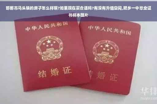 邯郸市马头镇的房子怎么样啊?如果现在买合适吗?有没有升值空间,肥乡一中毕业证书样本图片