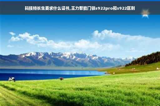 科技特长生要求什么证书,王力智能门锁s922pro和s922区别
