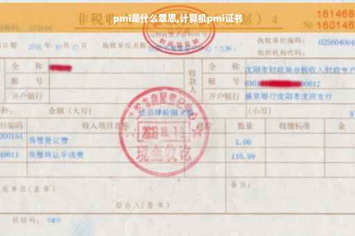 pmi是什么意思,计算机pmi证书