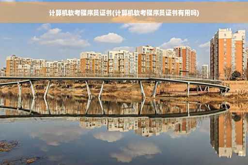 计算机软考程序员证书(计算机软考程序员证书有用吗)