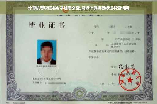 计算机等级证书电子版怎么查,高级计算机等级证书查询网