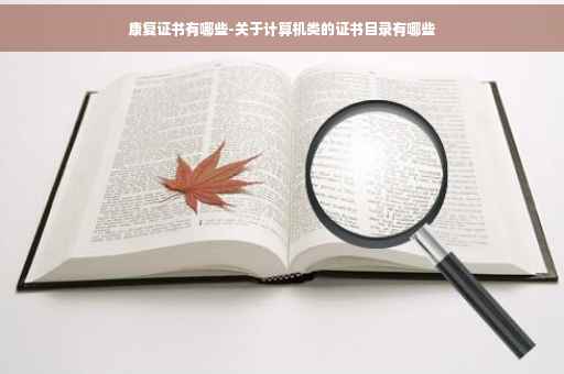 康复证书有哪些-关于计算机类的证书目录有哪些