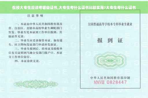 在校大专生应该考哪些证书,大专生考什么证书比较实用?大专生考什么证书