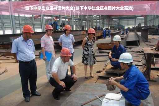 塘下中学毕业证书图片大全(塘下中学毕业证书图片大全高清)