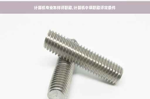 计算机专业怎样评职称,计算机中级职称评定条件