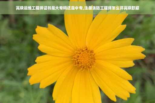 高级运维工程师证书是大专吗还是中专,注册消防工程师怎么评高级职称