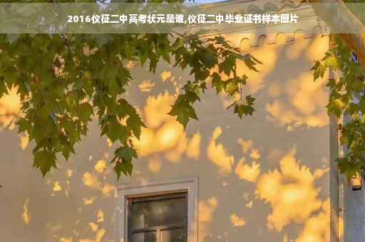 2016仪征二中高考状元是谁,仪征二中毕业证书样本图片