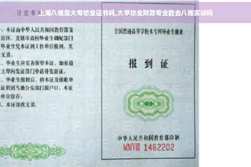 上海八维是大专毕业证书吗,大学毕业财政专业能去八维实训吗