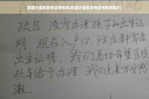 职称计算机资格证书样本(职称计算机资格证书样本图片)