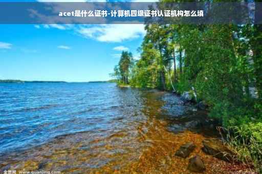 acet是什么证书-计算机四级证书认证机构怎么填
