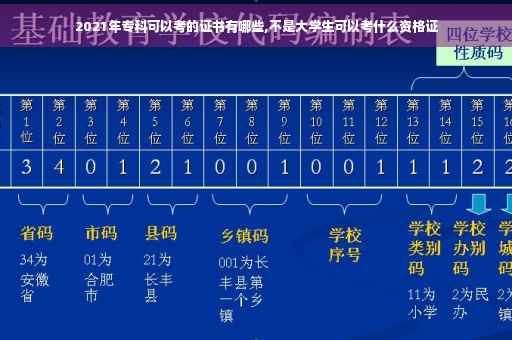 2021年专科可以考的证书有哪些,不是大学生可以考什么资格证