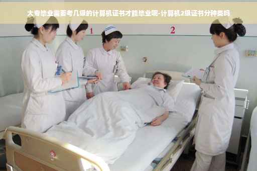 大专毕业需要考几级的计算机证书才能毕业呢-计算机2级证书分种类吗