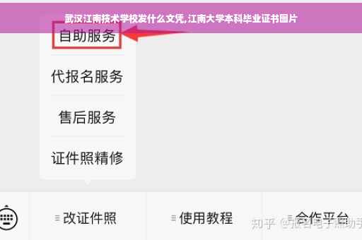 武汉江南技术学校发什么文凭,江南大学本科毕业证书图片