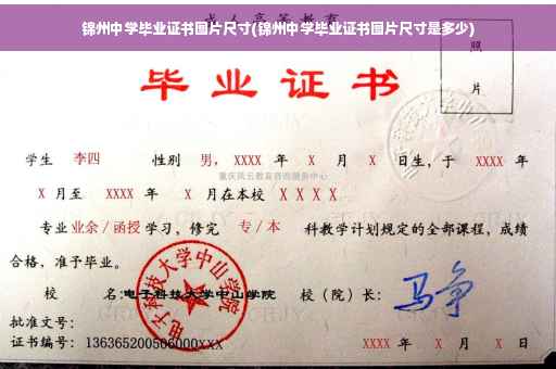 锦州中学毕业证书图片尺寸(锦州中学毕业证书图片尺寸是多少)