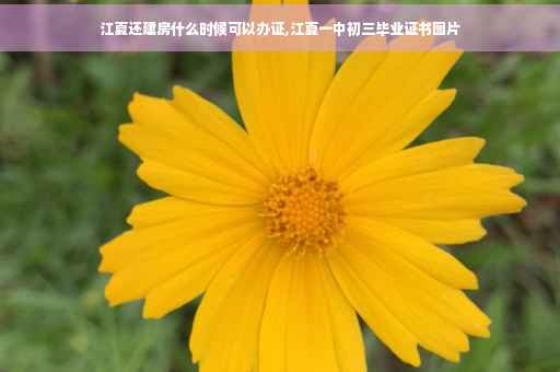 江夏还建房什么时候可以办证,江夏一中初三毕业证书图片
