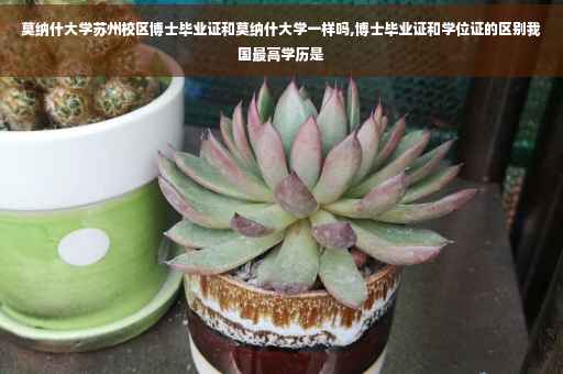 莫纳什大学苏州校区博士毕业证和莫纳什大学一样吗,博士毕业证和学位证的区别我国最高学历是