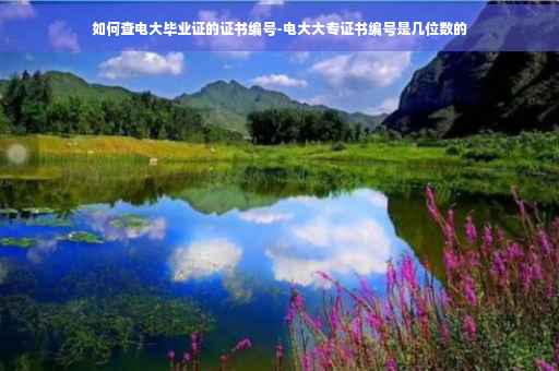 如何查电大毕业证的证书编号-电大大专证书编号是几位数的 如何查电大毕业证的证书编号-电大大专证书编号是几位数的