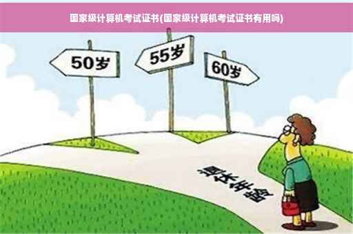 国家级计算机考试证书(国家级计算机考试证书有用吗)