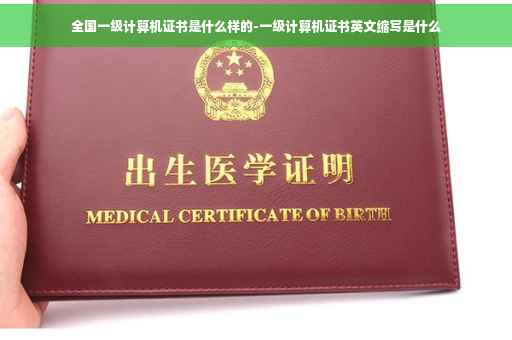 全国一级计算机证书是什么样的-一级计算机证书英文缩写是什么