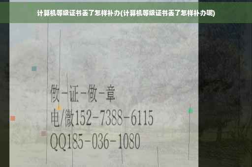 计算机等级证书丢了怎样补办(计算机等级证书丢了怎样补办呢)