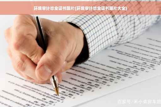 环境审计毕业证书图片(环境审计毕业证书图片大全)