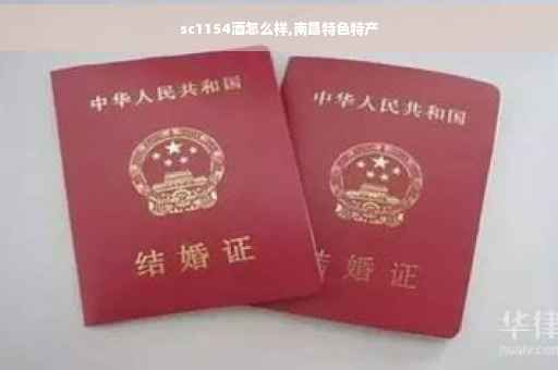 sc1154酒怎么样,南昌特色特产