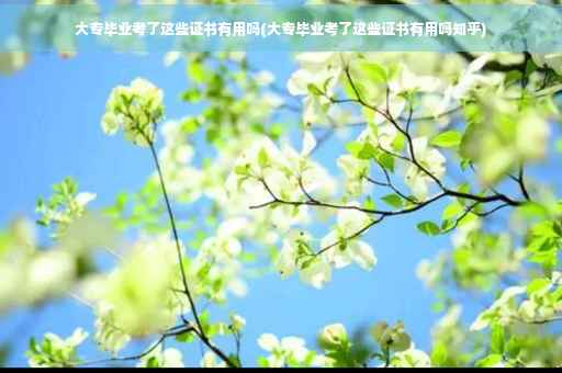 大专毕业考了这些证书有用吗(大专毕业考了这些证书有用吗知乎)