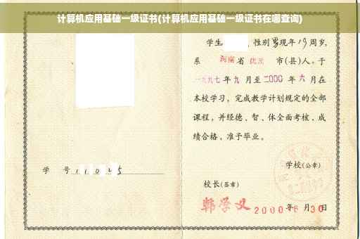 计算机应用基础一级证书(计算机应用基础一级证书在哪查询)