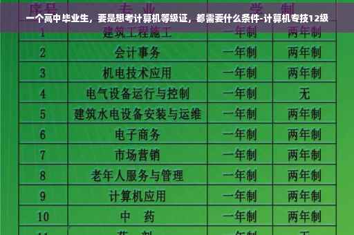 一个高中毕业生，要是想考计算机等级证，都需要什么条件-计算机专技12级