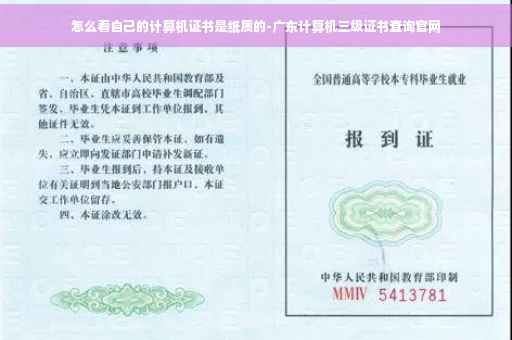 怎么看自己的计算机证书是纸质的-广东计算机三级证书查询官网