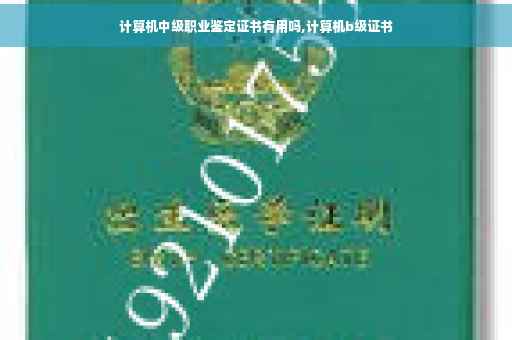 计算机中级职业鉴定证书有用吗,计算机b级证书