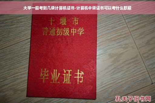 大学一般考到几级计算机证书-计算机中级证书可以考什么职称