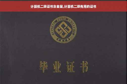 计算机二级证书含金量,计算机二级有用的证书
