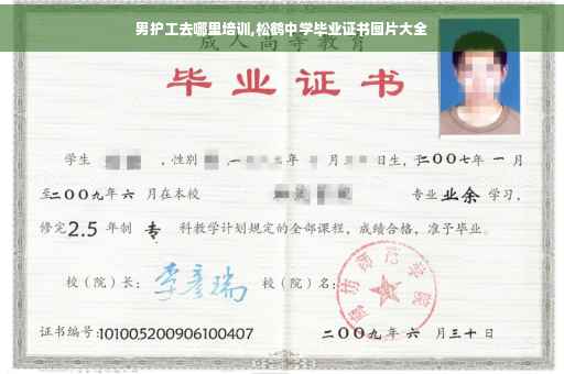 男护工去哪里培训,松鹤中学毕业证书图片大全