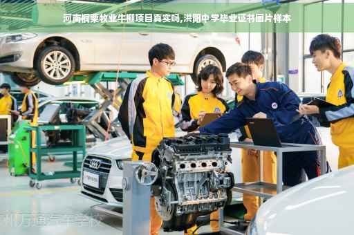 河南桐粟牧业牛棚项目真实吗,洪阳中学毕业证书图片样本