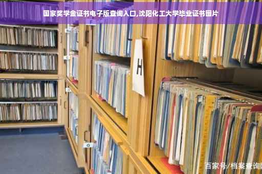 国家奖学金证书电子版查询入口,沈阳化工大学毕业证书图片 国家奖学金证书电子版查询入口,沈阳化工大学毕业证书图片